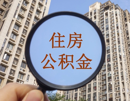 苍南退休后查不到公积金明细了吗（退休后公积金查询不到原因）